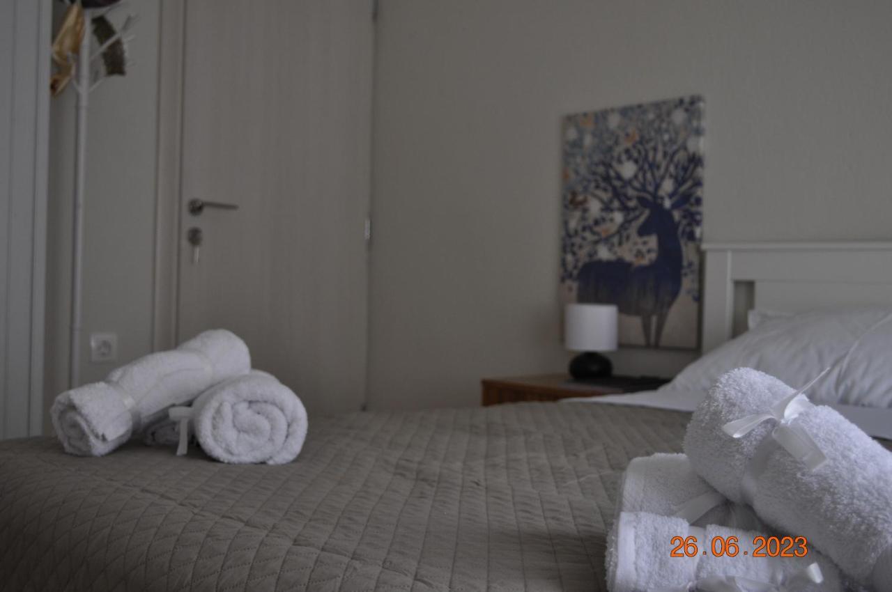 Alkion Apartment سالونيك المظهر الخارجي الصورة